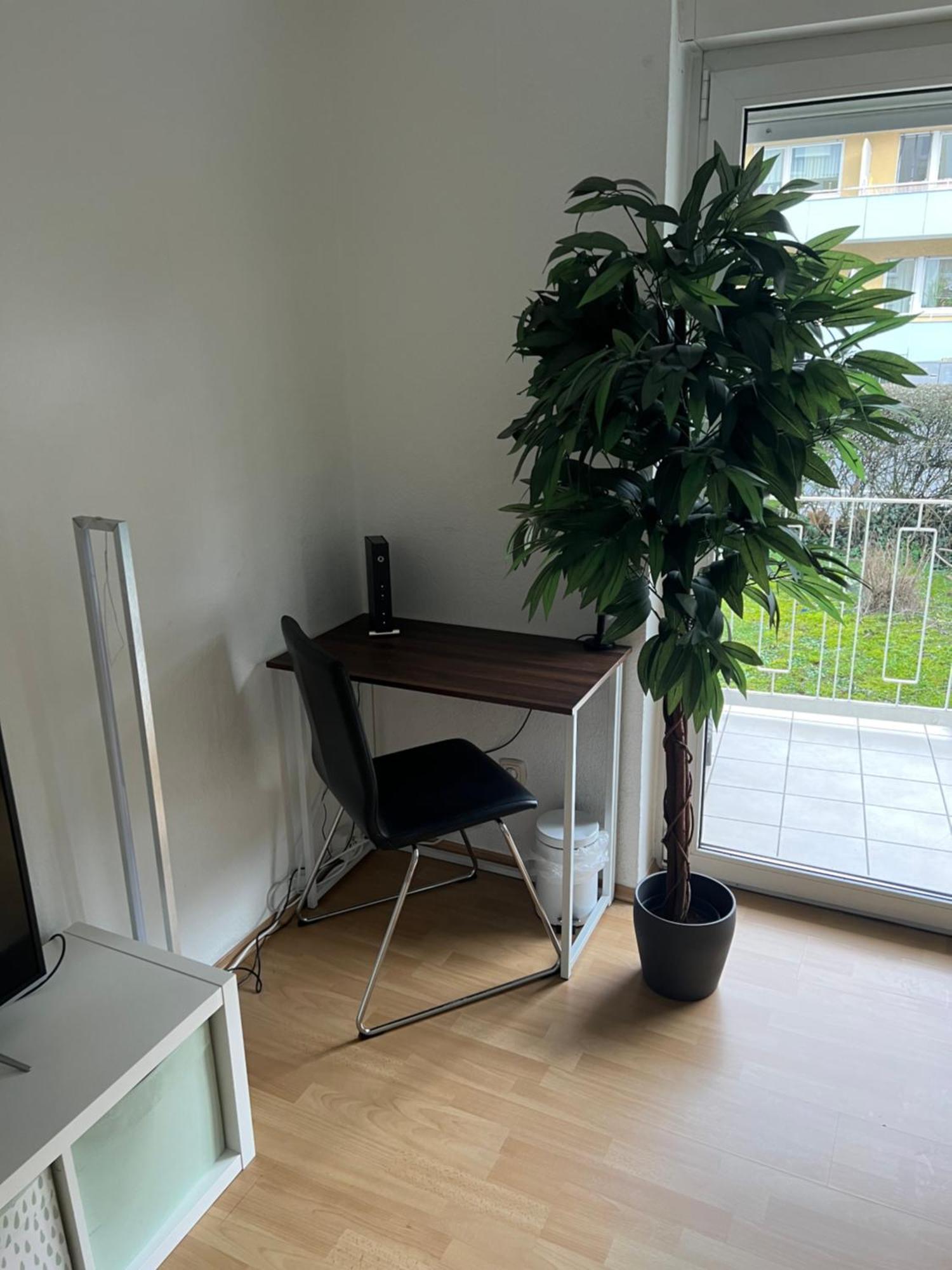 Privatunterkunft Naehe Residenz Und Innenstadt *